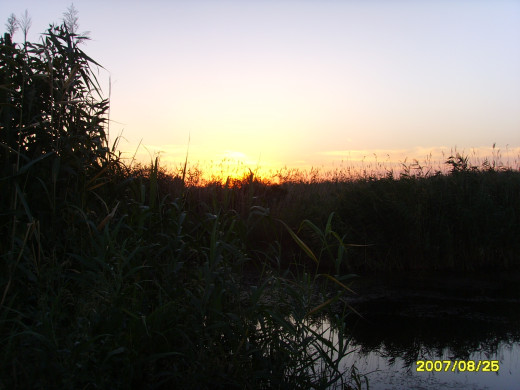 34917 (a): :1600x1200